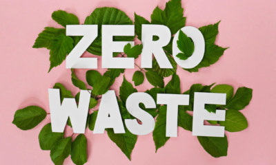 Tree leaves and 'zero waste' words endorsing zero waste movement