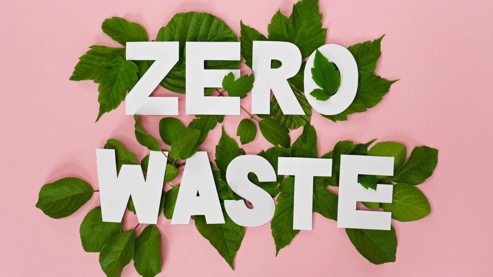 Tree leaves and 'zero waste' words endorsing zero waste movement