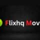 Watch Free Movies and TV Series HD Online on FlixHQ